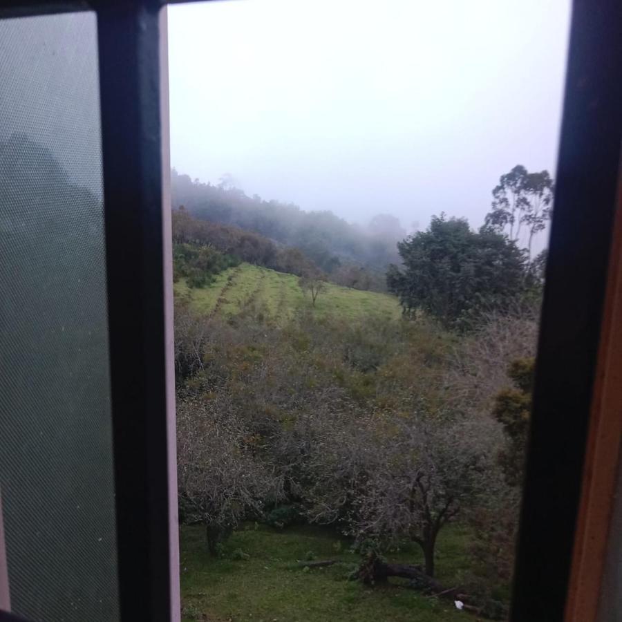 Olive Rooms Kodaikanal With Wifi, Spacious Rooms, Parking Exterior foto